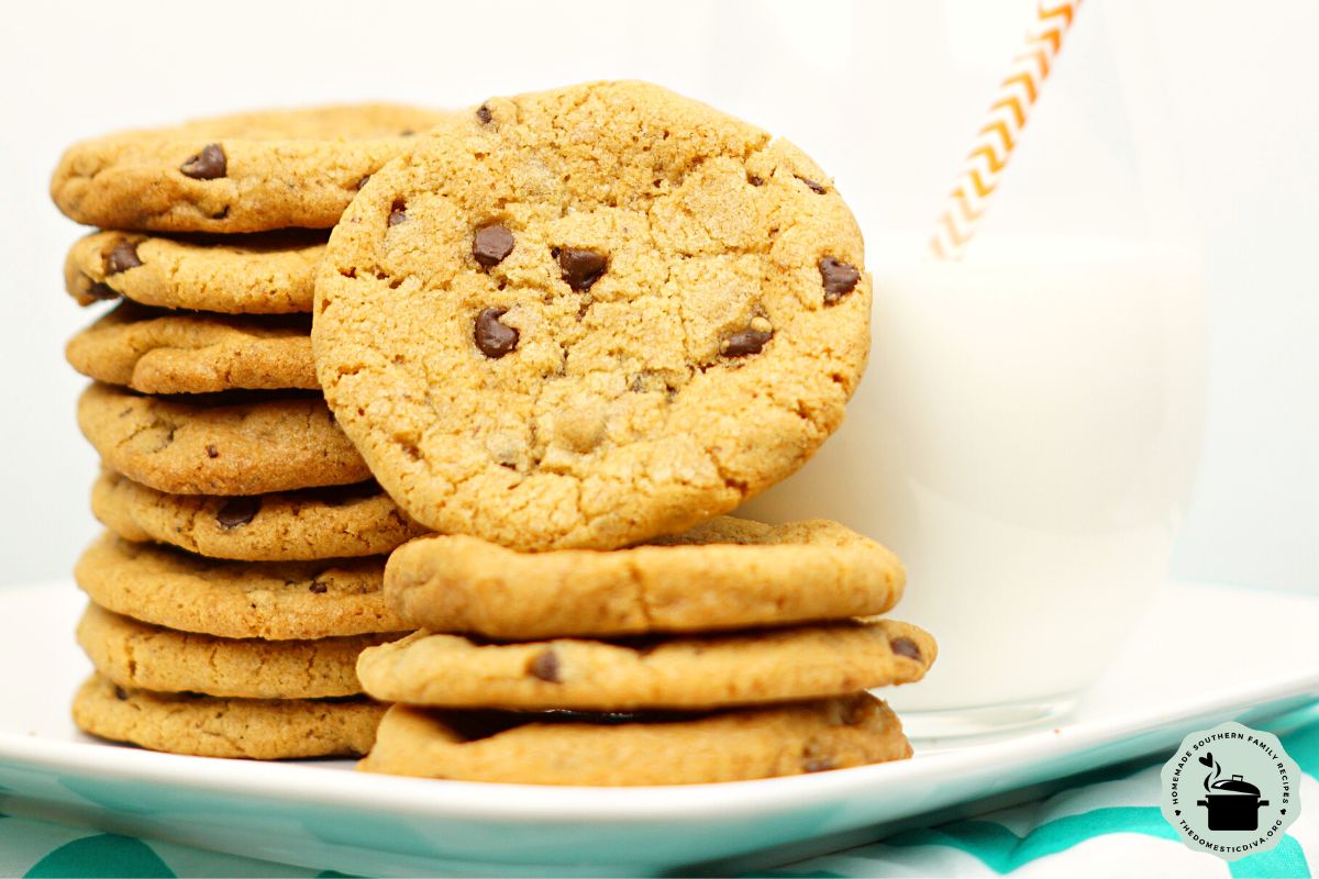 Chewy Chocolate Chip Cookie Recipe