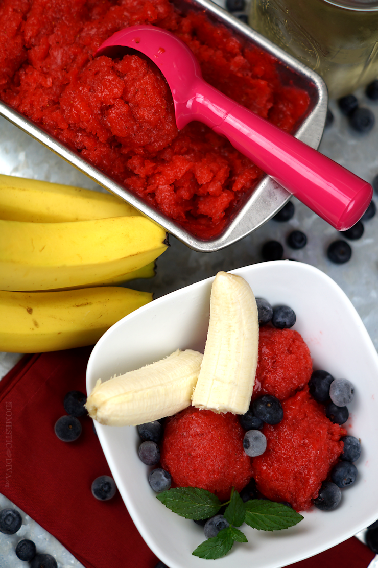 Fourth of July Dessert: Red, White, and Blueberry Sorbet Recipe