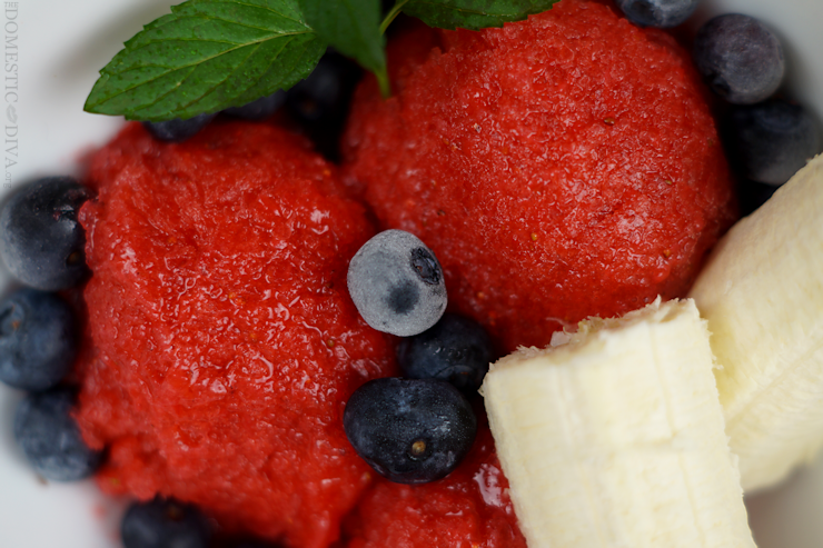 Fourth of July Dessert: Red, White, and Blueberry Sorbet Recipe