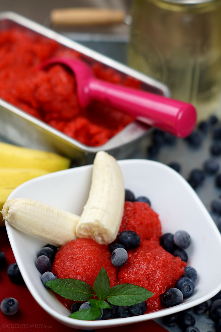 Fourth of July Dessert: Red, White, and Blueberry Sorbet Recipe